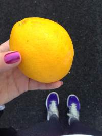 I found a lemon!