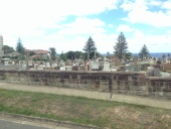 packed cemetery
