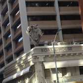 Koala House