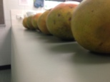 mangoes!!